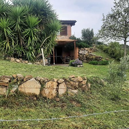Maremma Che Vista! Appartement Campagnatico Buitenkant foto