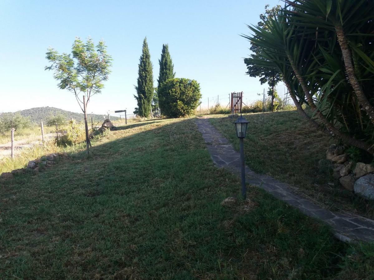 Maremma Che Vista! Appartement Campagnatico Buitenkant foto